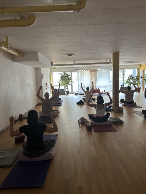 Hatha yoga