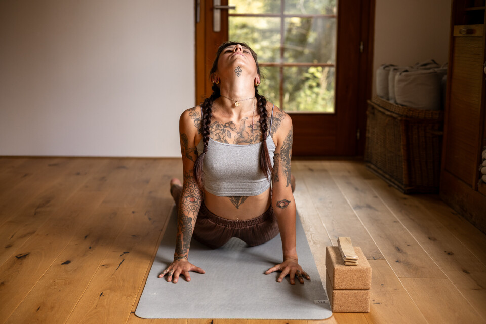 Vinyasa | Dimanche Matin