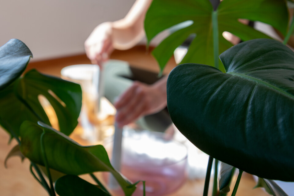 75-Minutes Yoga & Sound Healing Journey