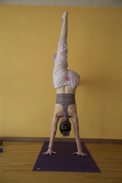 Yoga à plusieurs niveaux